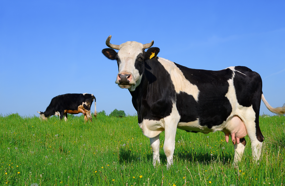 1698136897148361.png image.png